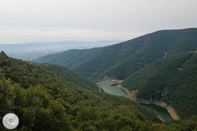 El Castanyer Gros de Can Cuch i el pantà de Vallforners 1 