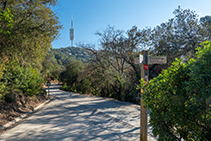 Camí del  Salze, amb vistes a la Torre de Collserola.