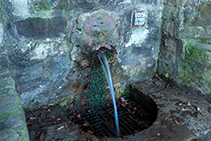 Detall de la font de la Budellera, amb l’aigua que brolla de la cara enganxada a la paret de pedra.