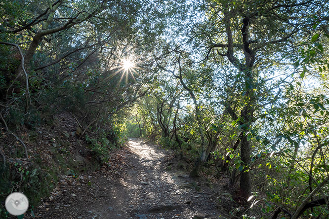 De Vallvidrera al Tibidabo per la font de la Budellera 1 