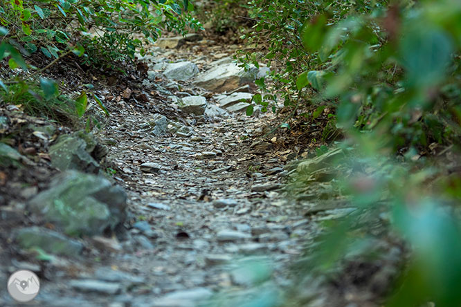 De Vallvidrera al Tibidabo per la font de la Budellera 1 