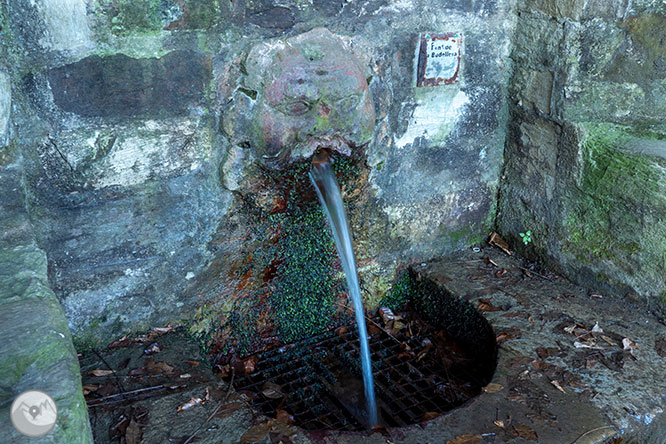 De Vallvidrera al Tibidabo per la font de la Budellera 1 