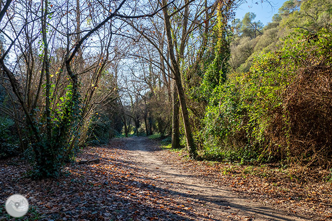 De Vallvidrera al Tibidabo per la font de la Budellera 1 