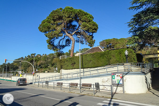 De Vallvidrera al Tibidabo per la font de la Budellera 1 