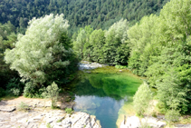 Les aigües verdes del Llobregat.