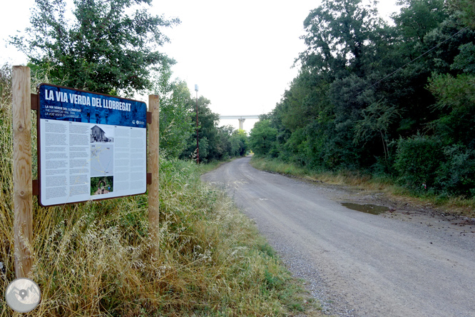 Via Verda de Cal Rosal a Pedret 1 