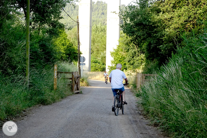 Via Verda de Cal Rosal a Pedret 1 