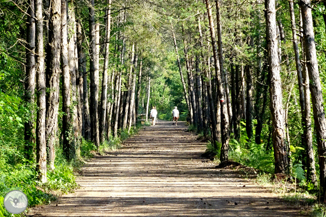 Via Verda de Cal Rosal a Pedret 1 