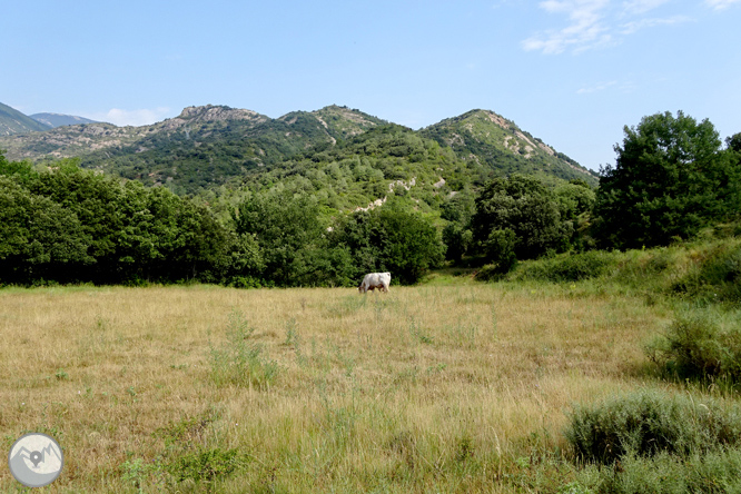 Via Verda de Cal Rosal a Pedret 1 