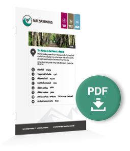 pdf-ruta