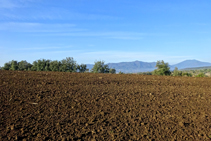 Camps de conreu al volcà de la Crosa.