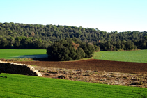 Interior del cràter del volcà.