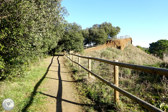 El volcà de la Crosa de Sant Dalmai 1 