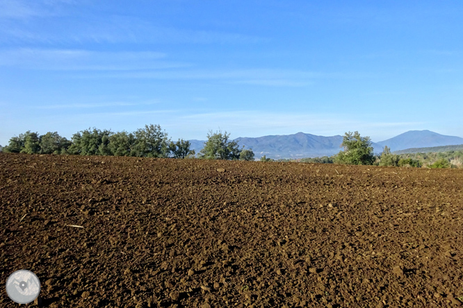 El volcà de la Crosa de Sant Dalmai 1 