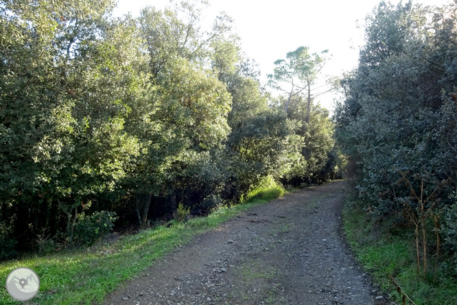 El volcà de la Crosa de Sant Dalmai 1 