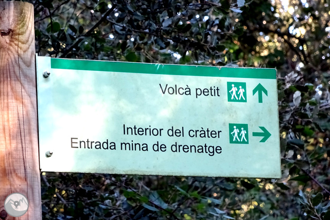 El volcà de la Crosa de Sant Dalmai 1 