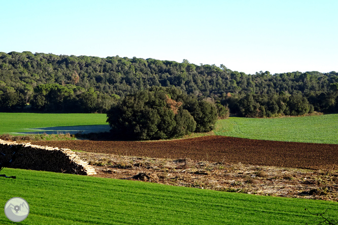 El volcà de la Crosa de Sant Dalmai 1 