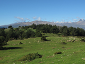 Volta a la serra de Freixa des de Llagunes