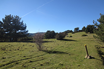 Capdamunt de la serra de Freixa.