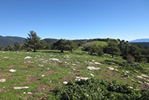 El llom de la serra de Freixa (en direcció E).