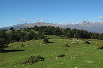 El llom de la serra de Freixa (en direcció O).