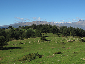 Volta a la serra de Freixa des de Llagunes