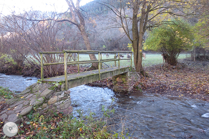 Volta a la serra de Freixa des de Llagunes 1 