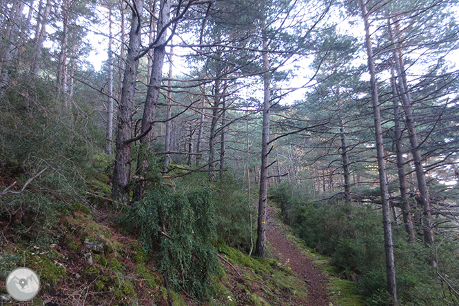 Volta a la serra de Freixa des de Llagunes 1 