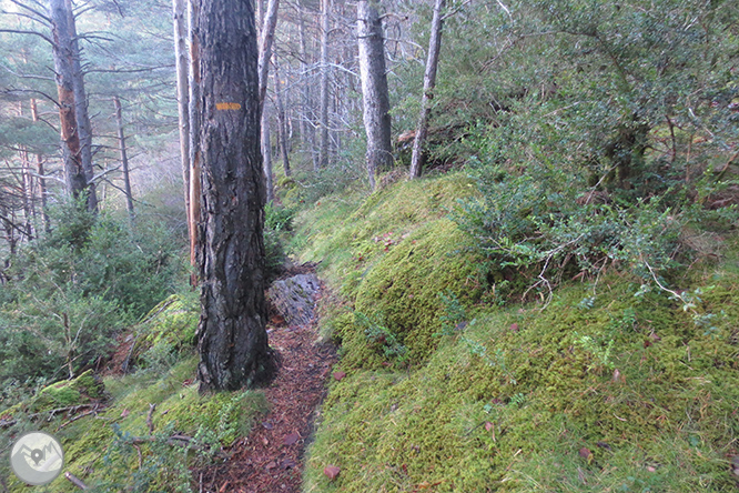 Volta a la serra de Freixa des de Llagunes 1 