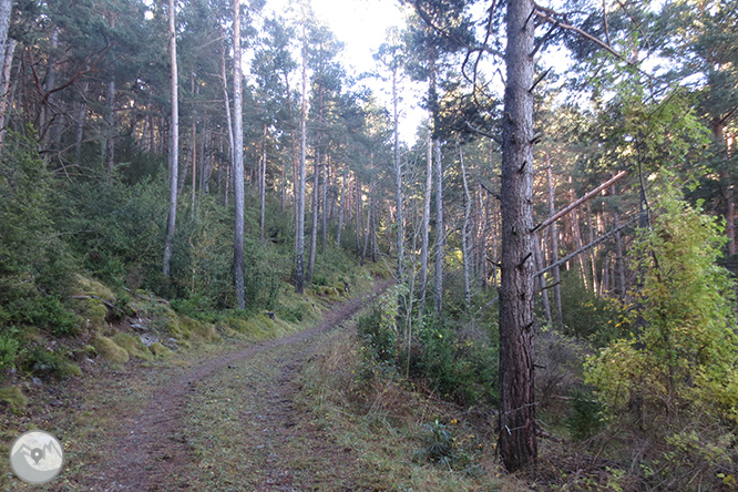 Volta a la serra de Freixa des de Llagunes 1 