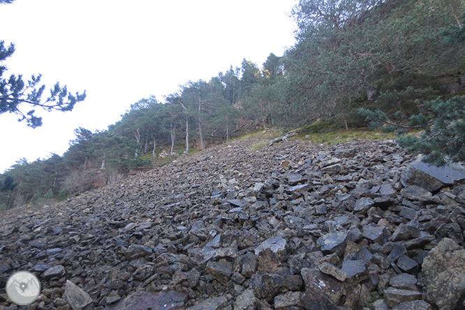 Volta a la serra de Freixa des de Llagunes 1 