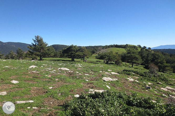 Volta a la serra de Freixa des de Llagunes 1 