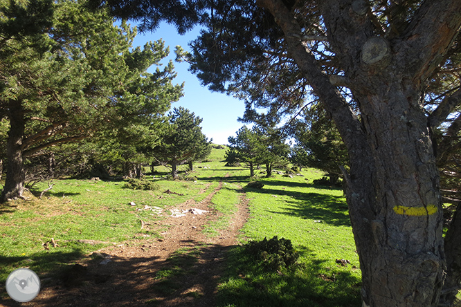 Volta a la serra de Freixa des de Llagunes 1 