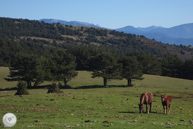 Volta a la serra de Freixa des de Llagunes 1 