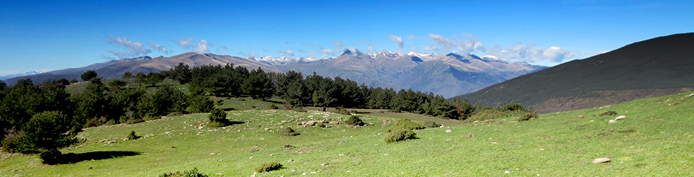 Volta a la serra de Freixa des de Llagunes
