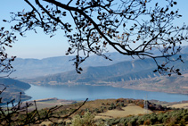 Vistes entre els roures al pantà de Sant Antoni.