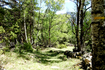 Camí de les bordes a Llavorsí.