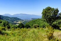 Les vistes cap al Montseny des del serrat de Sant Corneli.