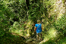 El camí que baixa des de l´ermita de Sant Corneli, frondós i ben fressat.