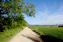 Seguim la pista entre l´Onyar i els camps de conreu.