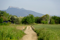 Típic mosaic agro-forestal.