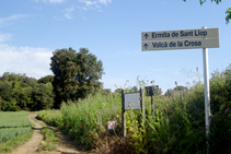 Enfilem cap al volcà de la Crosa.