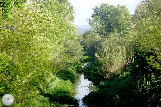 Volta pel Rec de Banyacans i les Fonts de Salitja 1 