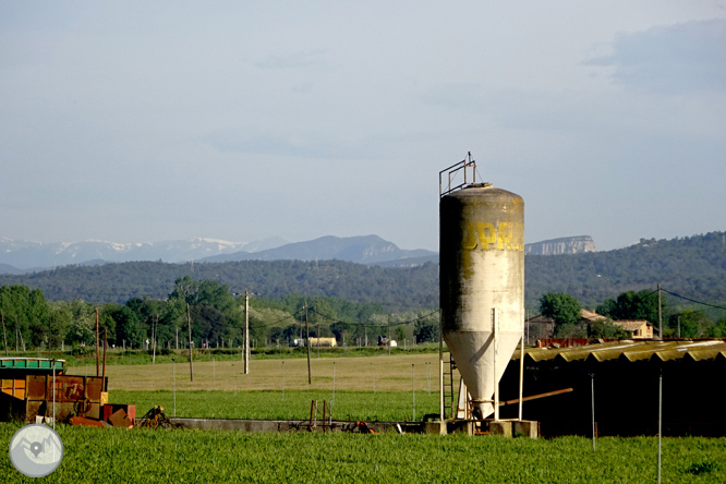 Volta pel Rec de Banyacans i les Fonts de Salitja 1 