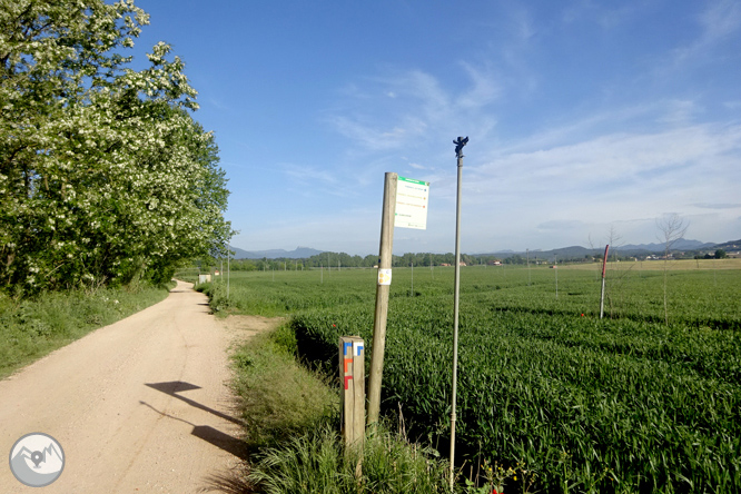 Volta pel Rec de Banyacans i les Fonts de Salitja 1 