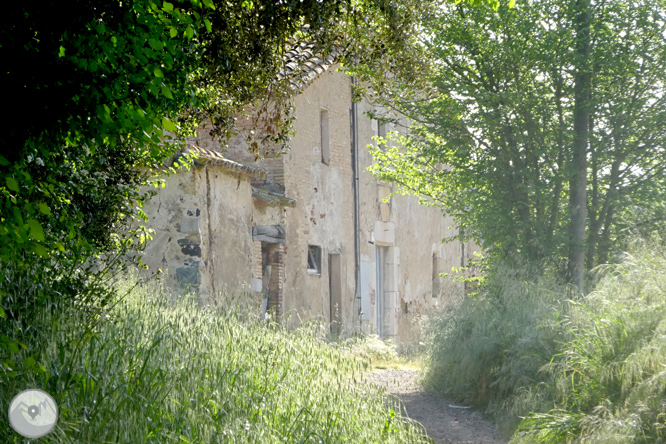 Volta pel Rec de Banyacans i les Fonts de Salitja 1 