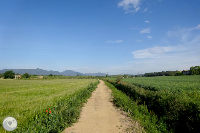 Volta pel Rec de Banyacans i les Fonts de Salitja 1 