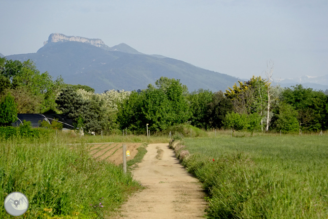 Volta pel Rec de Banyacans i les Fonts de Salitja 1 