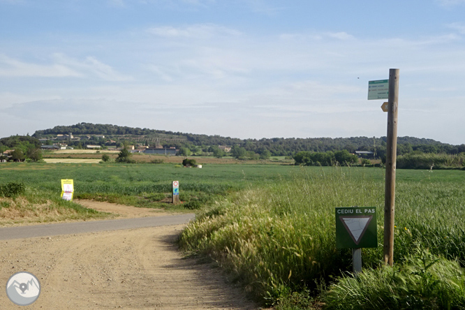 Volta pel Rec de Banyacans i les Fonts de Salitja 1 