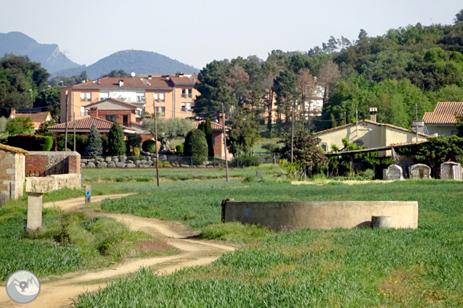 Volta pel Rec de Banyacans i les Fonts de Salitja 1 